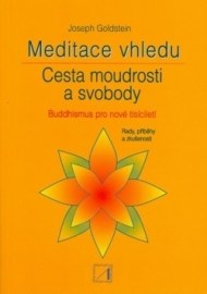 Meditace vhledu