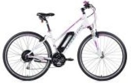 Leader Fox Venosa Lady 2017