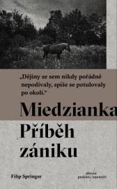 Miedzianka