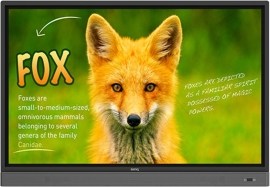 Benq RP653K