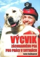 Výcvik záchranného psa pro práci v sutinách - cena, porovnanie