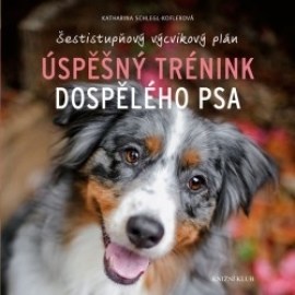 Úspěšný trénink dospělého psa