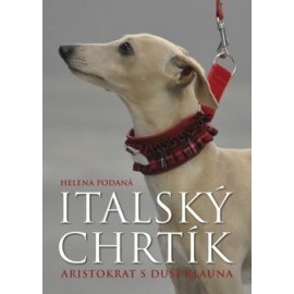 Italský chrtík - Aristokrat s duší klauna