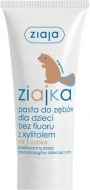 Ziaja Ziajka pasta so xylitolom 50ml - cena, porovnanie