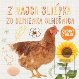 Životný cyklus – Z vajca sliepka, zo semienka slnečnica