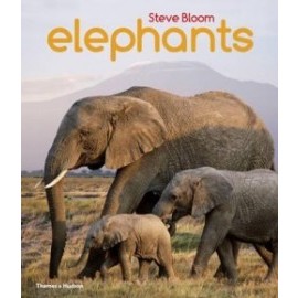 Elephants: A Book for Children