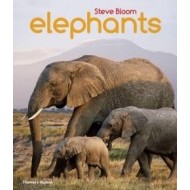Elephants: A Book for Children - cena, porovnanie