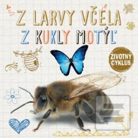 Životný cyklus – Z larvy včela, z kukly motýľ ?