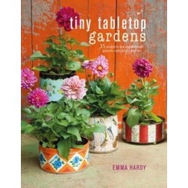 Tiny Tabletop Gardens