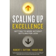 Scaling up Excellence - cena, porovnanie