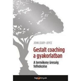 Gestalt coaching a gyakorlatban