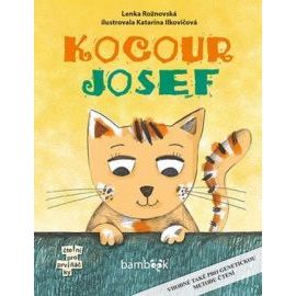 Kocour Josef