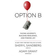 Option B - Facing adversity, Building Resistence and Finding Joy - cena, porovnanie