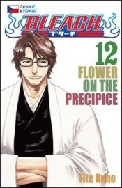 Bleach 12