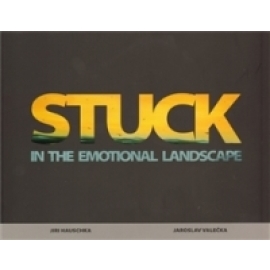 Stuck in the emotional landscape