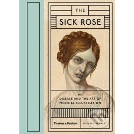 Sick Rose
