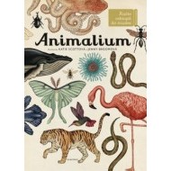 Animalium - cena, porovnanie