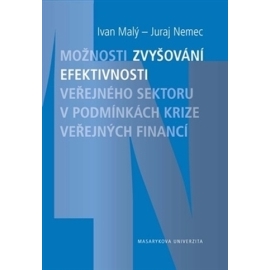 Možnosti zvyšování efektivnosti veřejného sektoru v podmínkách krize veřejných financí