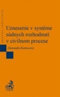 Uznesenie v systéme súdnych rozhodnutí v civilnom procese - cena, porovnanie