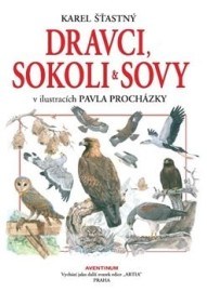 Dravci, sokoli a sovy