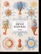 Haeckel - cena, porovnanie