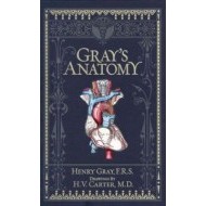 Gray's Anatomy - cena, porovnanie