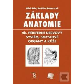 Základy anatomie - 4b. Periferní nervový systém, smyslové orgány a kůže