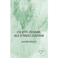 Co vítr odvane, ale v srdci zůstane - cena, porovnanie