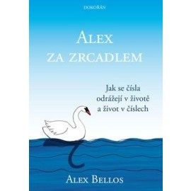 Alex za zrcadlem