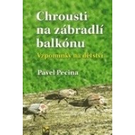 Chrousti na zábradlí balkónu