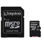 Kingston Micro SDXC Class 10 256GB - cena, porovnanie