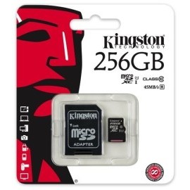 Kingston Micro SDXC UHS-I U1 256GB