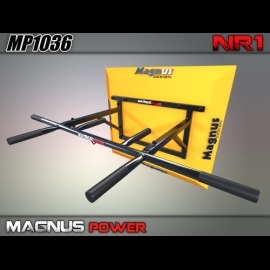 Magnus Power MP1036