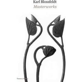 Karl Blossfeldt: Masterworks