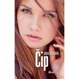 Čip