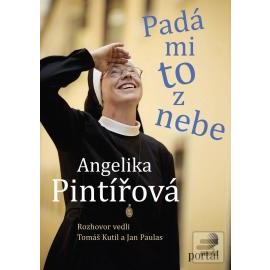 Pintířová Angelika - Padá mi to z nebe