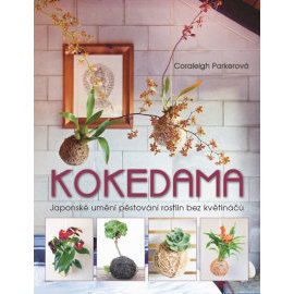 Kokedama