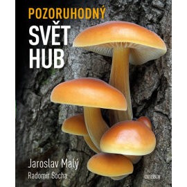 Pozoruhodný svět hub