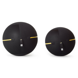 Technogym Wellness Ball 65cm