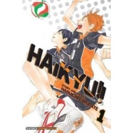 Haikyu Vol. 1