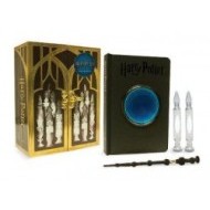 Harry Potter Pensieve Memory Set - cena, porovnanie