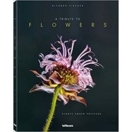 A Tribute to FLOWERS - cena, porovnanie