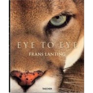 Eye to Eye, Lanting - cena, porovnanie