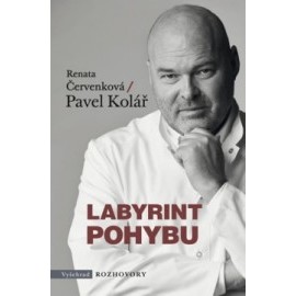 Labyrint pohybu