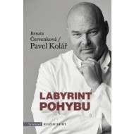 Labyrint pohybu - cena, porovnanie
