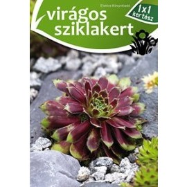 Virágos sziklakert - 1x1 kertész