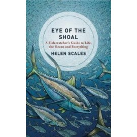 Eye of the Shoal