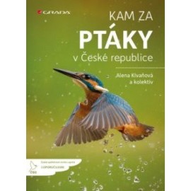 Kam za ptáky v České republice