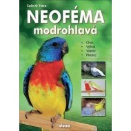 Neoféma modrohlavá - cena, porovnanie