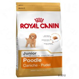 Royal Canin Pudel Junior 3kg